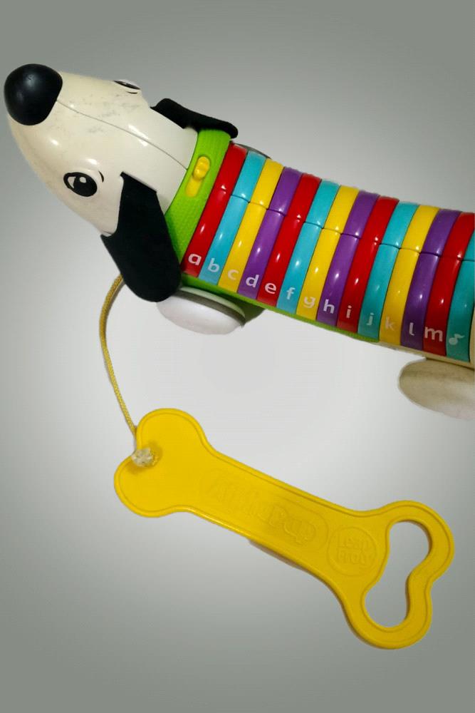Meet AlphaPup, the adorable and educational learning dog from LeapFrog. This friendly pull toy is designed to help toddlers learn their letters as they play. As AlphaPup is pulled along, its colorful segments light up and sing the alphabet song, making learning fun and interactive. Each segment also features a letter, encouraging early letter recognition. This toy is perfect for developing motor skills and introducing children to the world of letters and sounds in an enjoyable way.

Disclaimer: Please note that actual product colors and size may vary slightly due to lighting and screen settings.

Price: PKR 1150/-